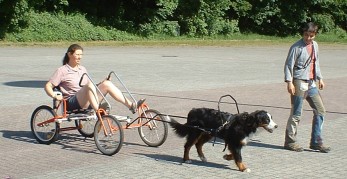 Baika im Sacco