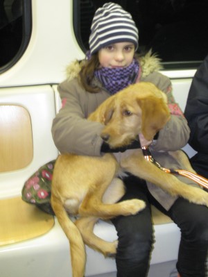 Pauline und Enya