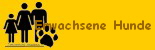 Erwachsene Hunde