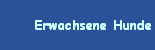 Erwachsene Hunde