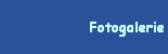 Fotogalerie