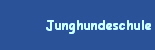 Junghundeschule