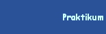 Praktikum