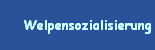Welpensozialisierung
