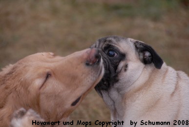 Banja und Henry Banja und Henry